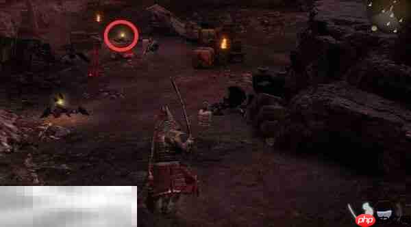 仁王3寄托于药中的思念怎么完成 寄托于药中的思念完成方法