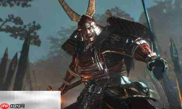 仁王3井伊家的遗脉任务完成方法 井伊家的遗脉怎么完成