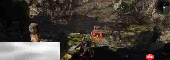 仁王3井伊家的遗脉任务完成方法 井伊家的遗脉怎么完成