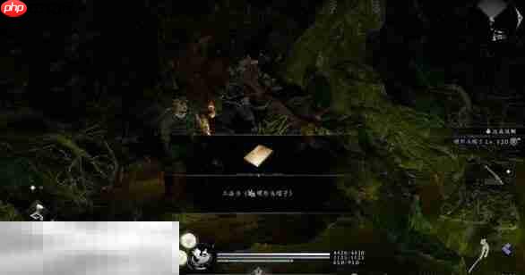 仁王3武道奥传怎么解锁 仁王3武道奥传解锁方法