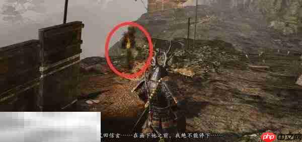 仁王3描绘甲斐之虎任务完成方法 描绘甲斐之虎怎么完成