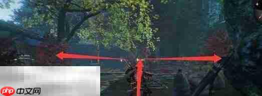 仁王3描绘甲斐之虎任务完成方法 描绘甲斐之虎怎么完成