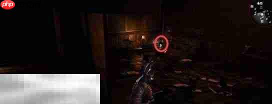 仁王3因缘之地任务完成方法 仁王3因缘之地怎么完成