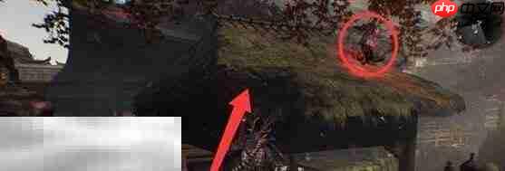 仁王3因缘之地任务完成方法 仁王3因缘之地怎么完成