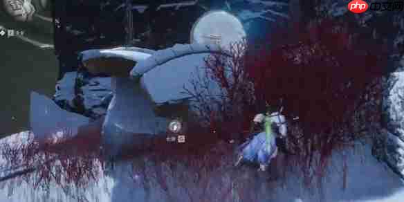 燕云十六声行乐天水任务怎么做-燕云十六声行乐天水任务攻略