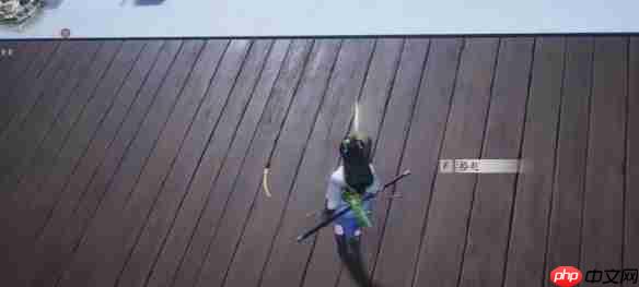 燕云十六声行乐天水任务怎么做-燕云十六声行乐天水任务攻略