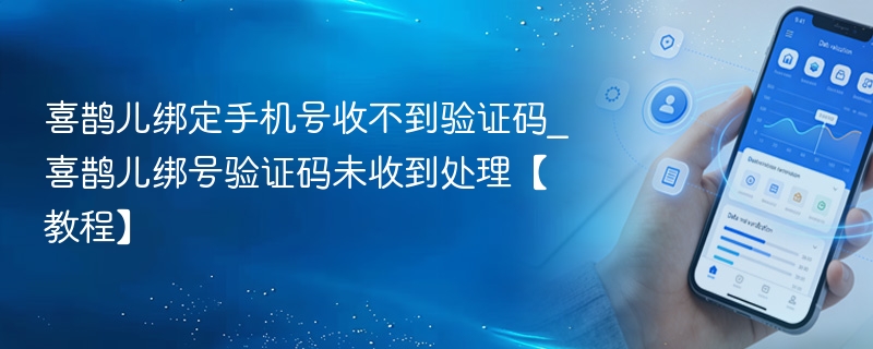 喜鹊儿绑定手机号收不到验证码_喜鹊儿绑号验证码未收到处理【教程】 - 98游戏