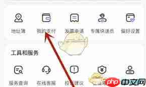 德邦快递如何看待支付