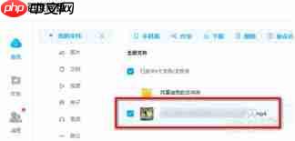 百度网盘下载的视频存放在哪