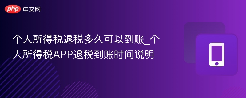 个人所得税退税多久可以到账_个人所得税app退税到账时间说明 - 98游戏
