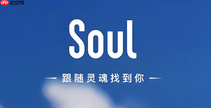 soul怎么申请达人_soulssr达人认证