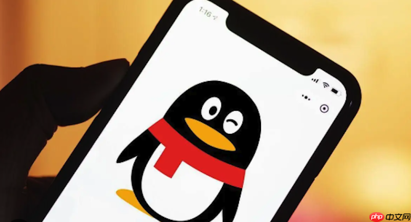 qq怎么设置群管理员_qq群成员管理权限设置