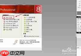 Macromedia Flash 8文件怎么导出