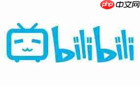 哔哩哔哩在线观看入口在哪