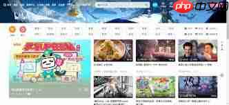 哔哩哔哩在线观看入口在哪