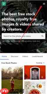 pexels如何设置中文