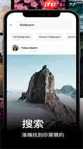 pexels如何设置中文