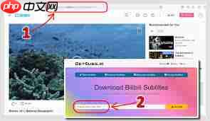 哔哩哔哩字幕怎么下载