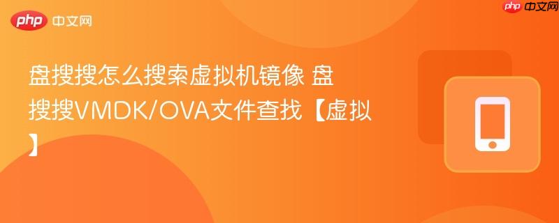 盘搜搜怎么搜索虚拟机镜像 盘搜搜vmdk/ova文件查找【虚拟】