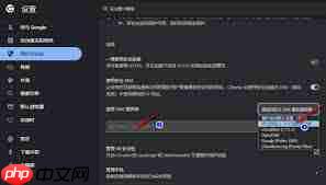 谷歌浏览器怎么用安全DNS功能