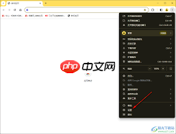 谷歌浏览器怎么用安全DNS功能