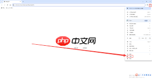 谷歌浏览器怎么用安全DNS功能