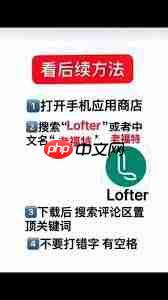 老福特怎么搜索文章