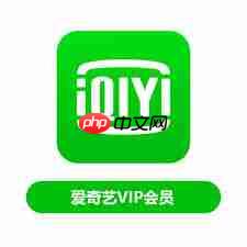 哪里能找到爱奇艺会员号大全最新