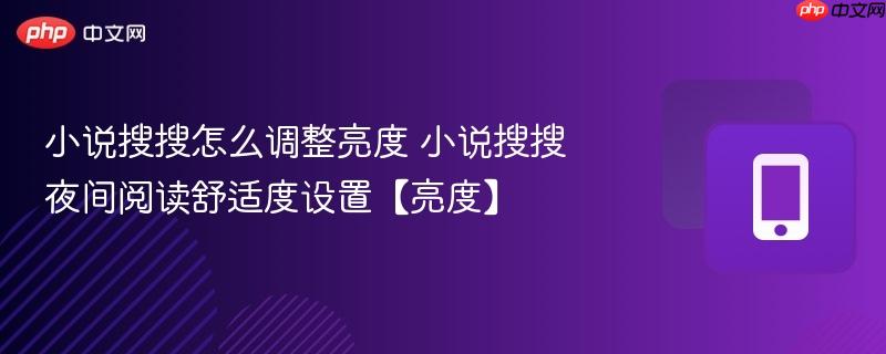 小说搜搜怎么调整亮度 小说搜搜夜间阅读舒适度设置【亮度】