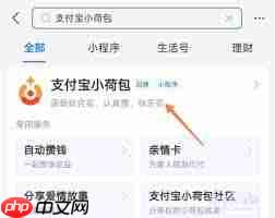 如何删除支付宝小荷包消费记录