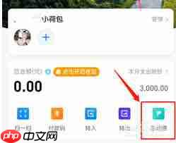 如何删除支付宝小荷包消费记录