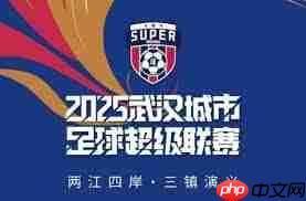 汉超联赛2025赛程表在哪查看