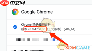 如何查看谷歌浏览器版本号