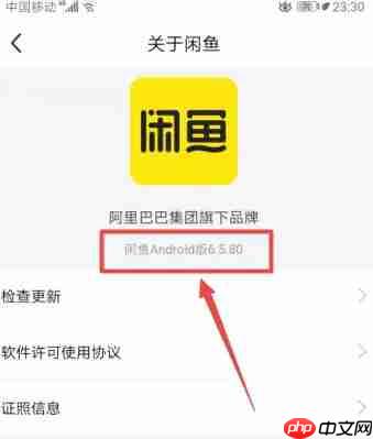 咸鱼怎么查看版本号？-咸鱼查看版本号的方法