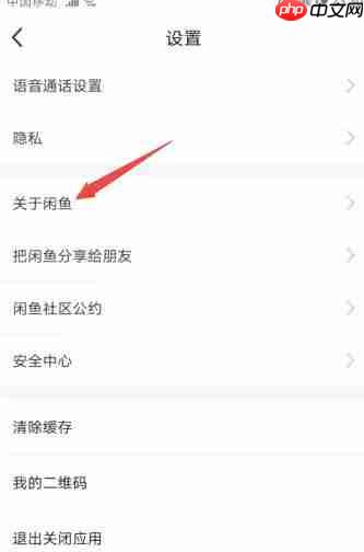 咸鱼怎么查看版本号？-咸鱼查看版本号的方法