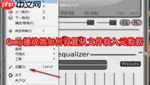 Qmmp播放器怎样设置从文件载入元数据