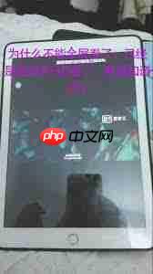 红果短剧平板如何全屏