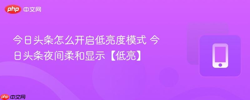 今日头条怎么开启低亮度模式 今日头条夜间柔和显示【低亮】