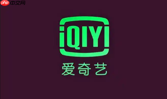 爱奇艺怎么设置字幕_爱奇艺外挂字幕加载