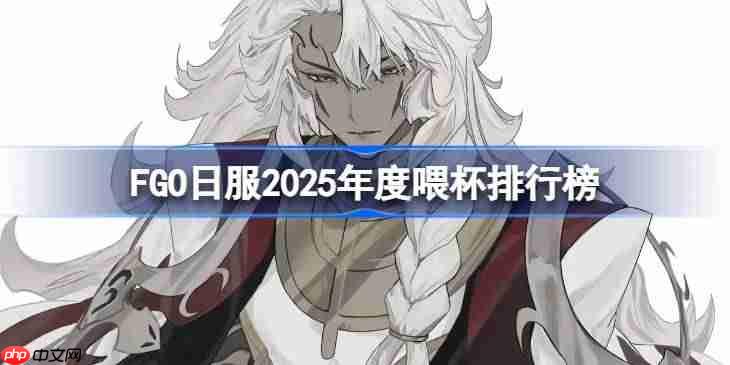 FGO日服2025年度喂杯给哪些从者最好-FGO日服2025年度喂杯排行榜