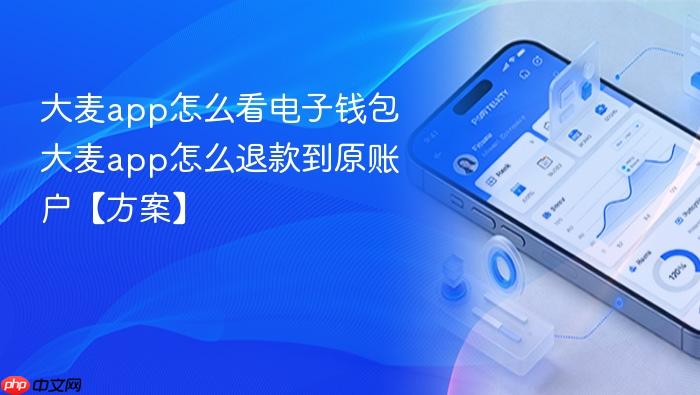 大麦app怎么看电子钱包 大麦app怎么退款到原账户【方案】
