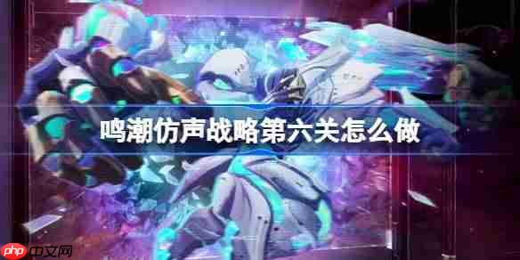 鸣潮仿声战略第六关怎么过-鸣潮仿声战略第六关攻略