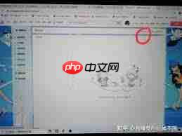如何在B站加入应援团