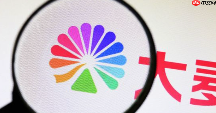 大麦怎么设置灵动岛_大麦灵动岛显示设置【开启】