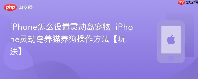iphone怎么设置灵动岛宠物_iphone灵动岛养猫养狗操作方法【玩法】