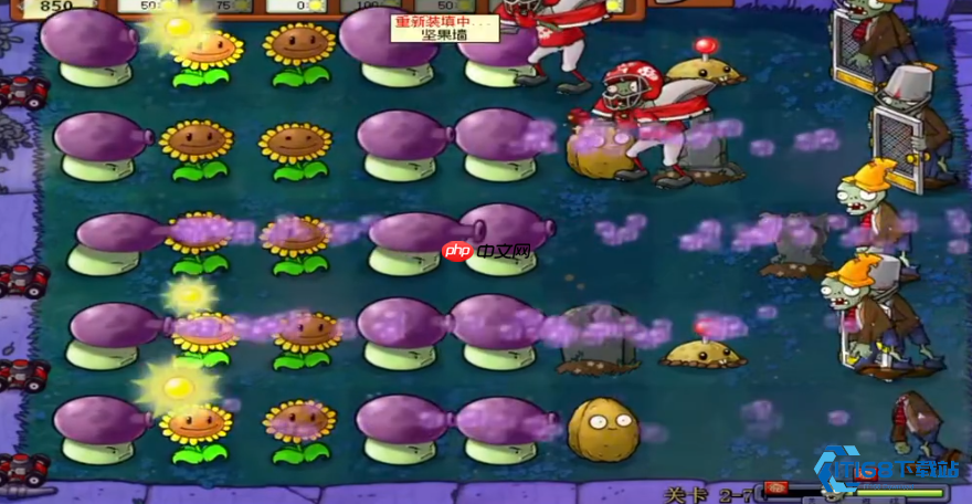 征服植物大战僵尸 2-7 关动态攻略指南