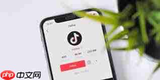 哪里找Tiktok在线网页版入口