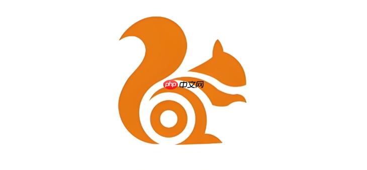 uc浏览器怎么开启智能拼页_uc浏览器翻页设置