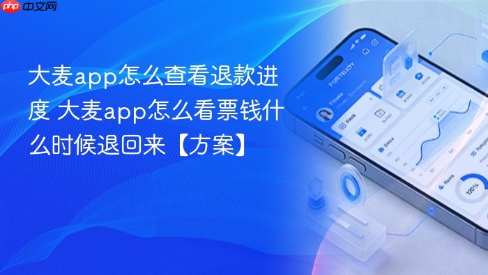 大麦app怎么查看退款进度 大麦app怎么看票钱什么时候退回来【方案】