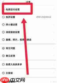 拼多多买火车票能不能先用后付